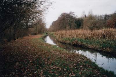 pic5